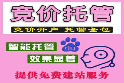 旅游行业SEM推广的成功案例分享